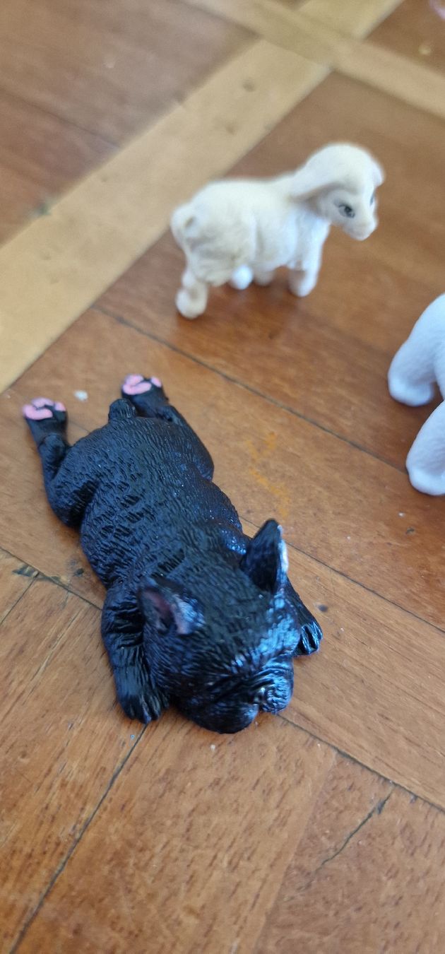 Schleich Jouets: Schleichtierr – Neuf (Voir description) à Wallisellen par sugon 2