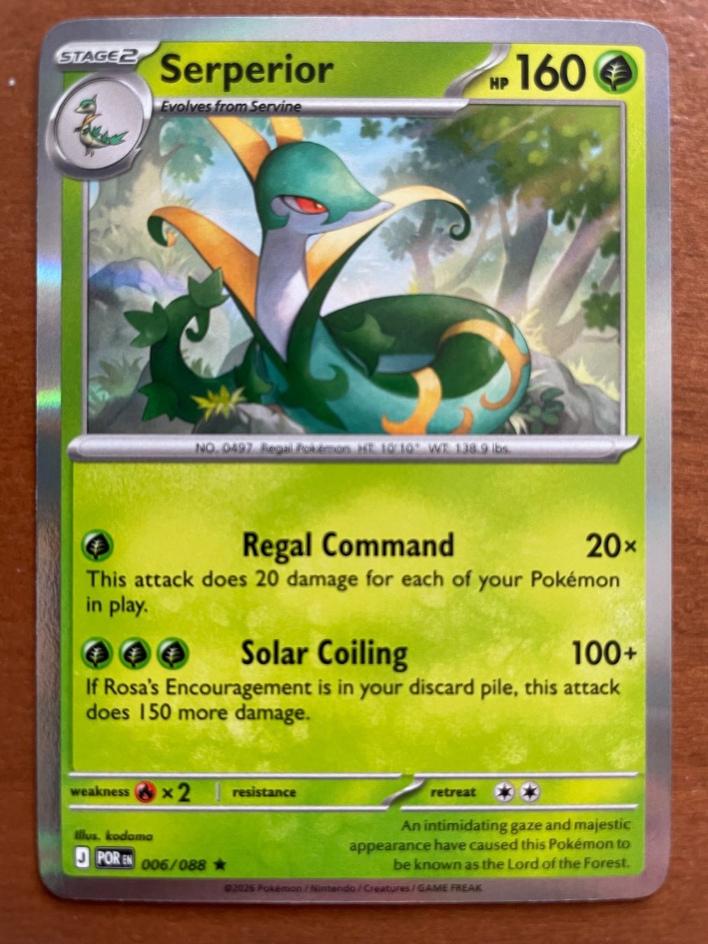 Pokémon Carte collezionabili: Pokemon Serperior Holo (Versand gratis) – Nuovo (secondo la descrizione) da Chur venduto da Angerson