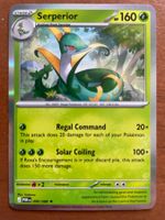 Pokemon Serperior Holo (Versand gratis)
