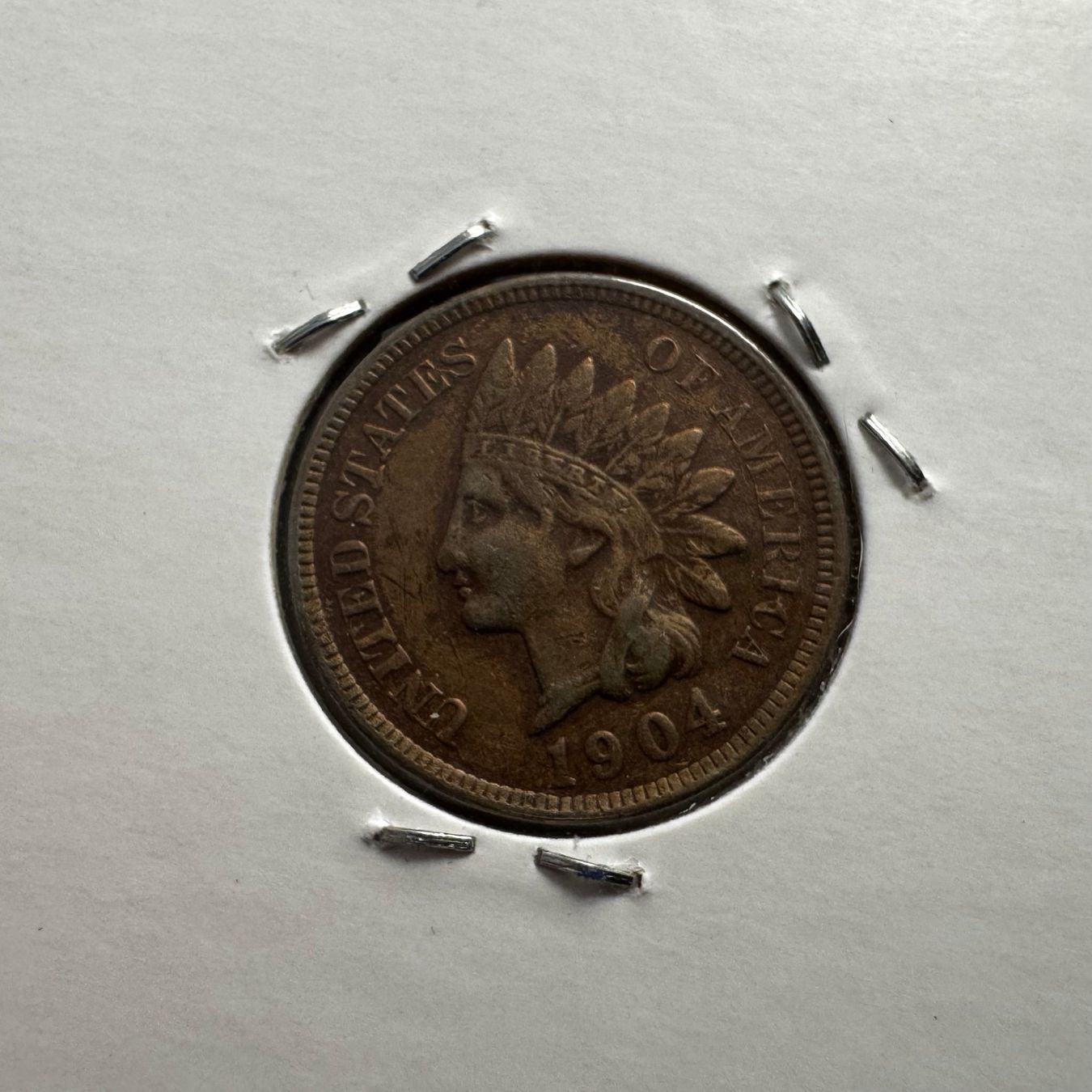 Tutti le monete: 1 Cent USA Indianer 1904 – Usato da Reitnau venduto da tb-muenzen 1