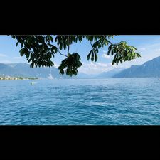 Profile image of ACAD_0824