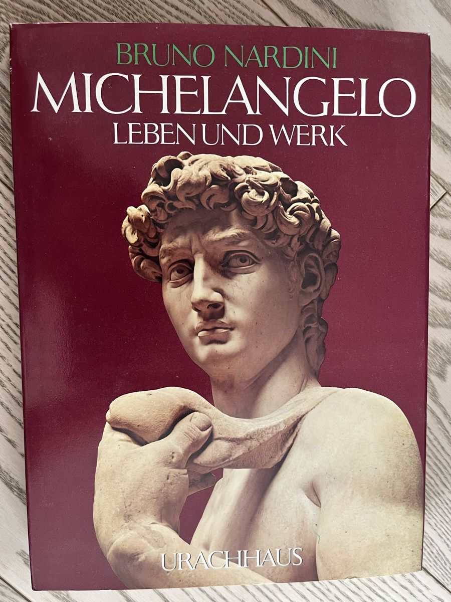 Libri: Nardini *Michelangelo - Leben und Werk – Usato da Romanshorn venduto da Apfelschuss