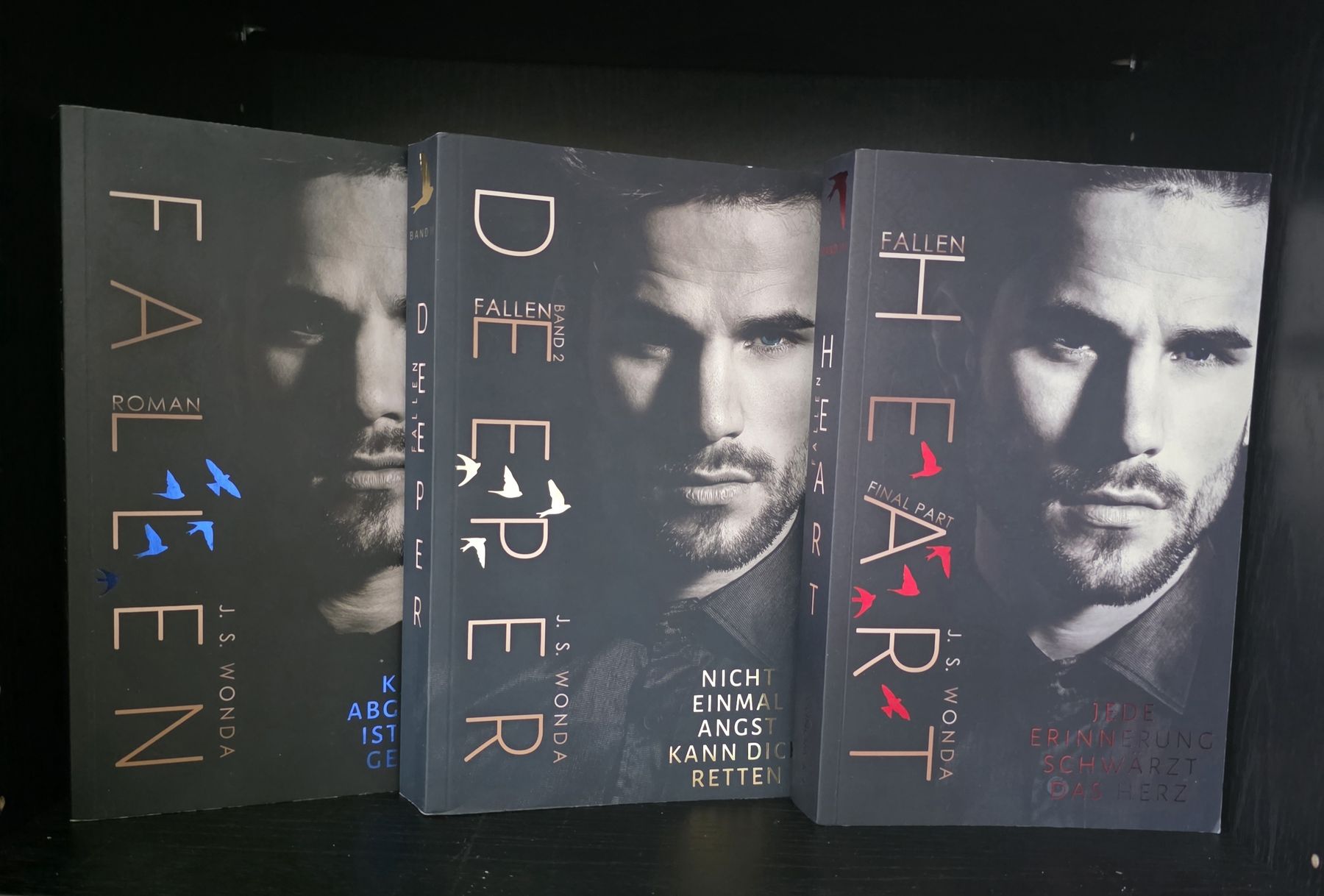 Libri: J.S Wonda Fallen Reihe Dark Romance – Usato da Tägerwilen venduto da XeniaH