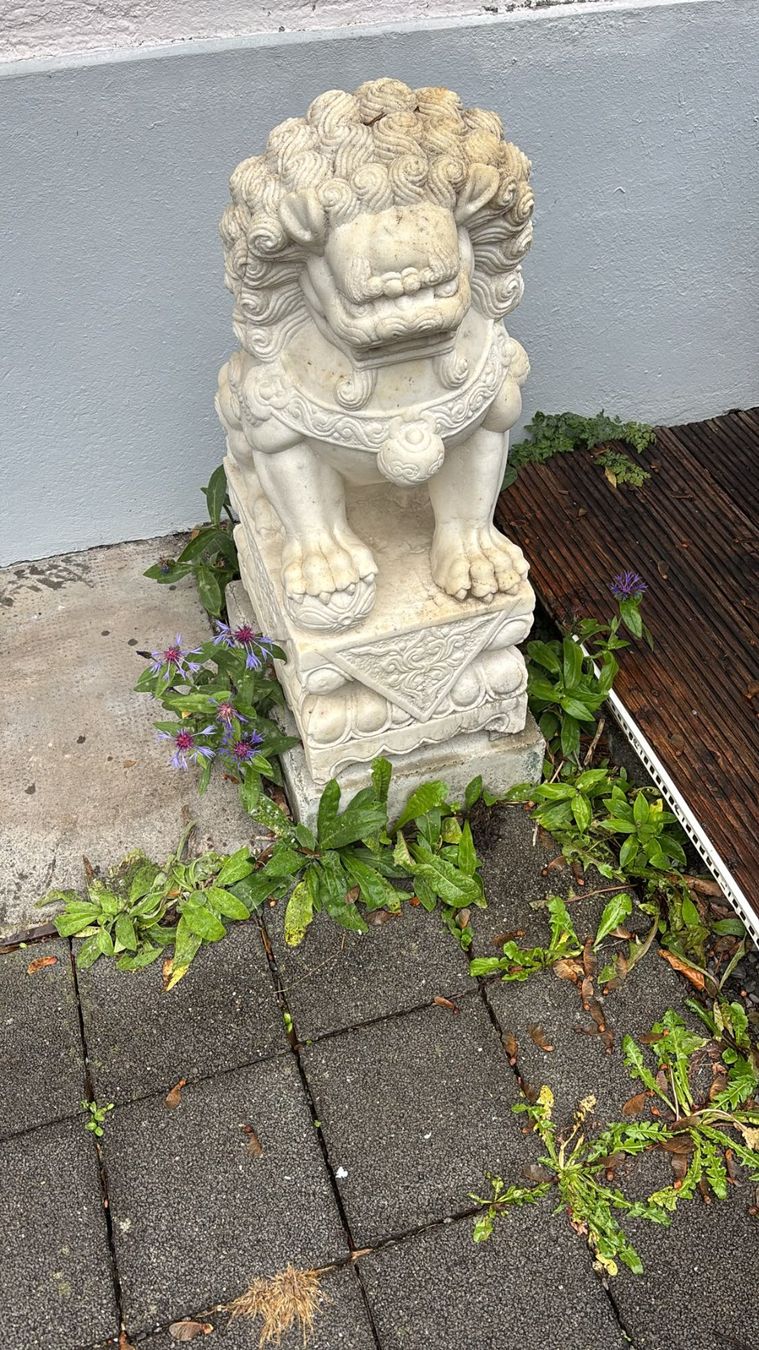 Skulpturen & Statuen: Asiatischer Wächterlöwe Steinfigur für Garten oder Eingang – Gebraucht aus Zürich von Korhal 4