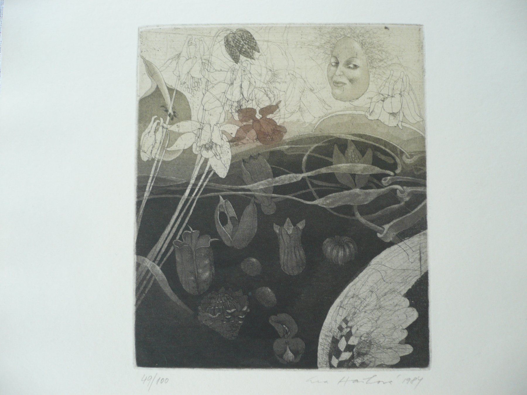 Grafica & Litografie: Eva Haskova 1984 Lithografie – Usato da Zürich venduto da saltandpepper008 1
