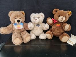 3 x Steiff Molly, Petsy, Schildkröt Design, Bären, Nachlass