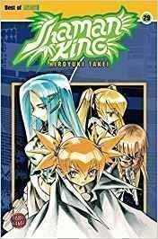 Fumetti: Shaman King - 25x Manga – Usato da Münchenstein venduto da vitalfit 2