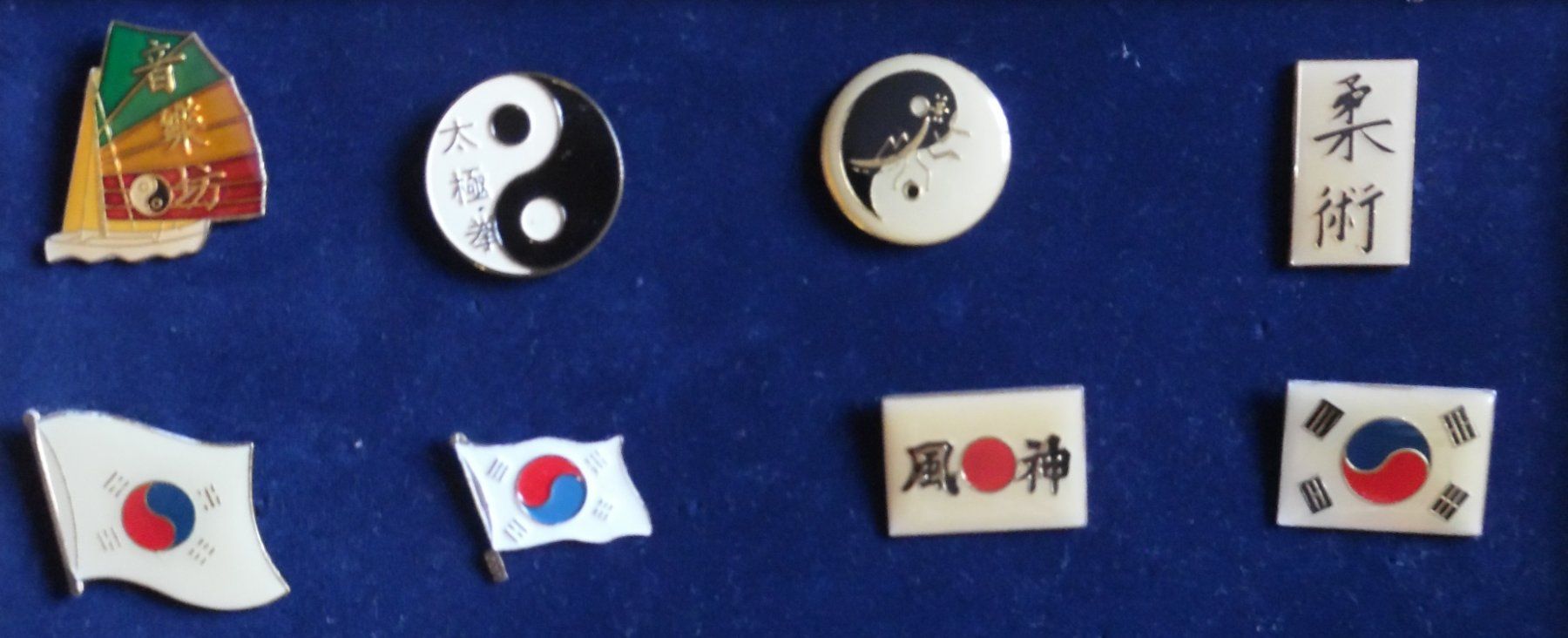 Placchette & Badge: Pin-Sammlung – Usato da Bellinzona venduto da Luna093 1