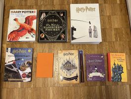 Harry Potter Sachbücher & Fanbücher Sammlung