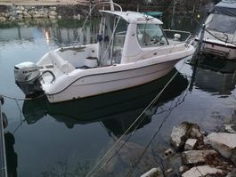 Sessa Ocean Dorado 20 