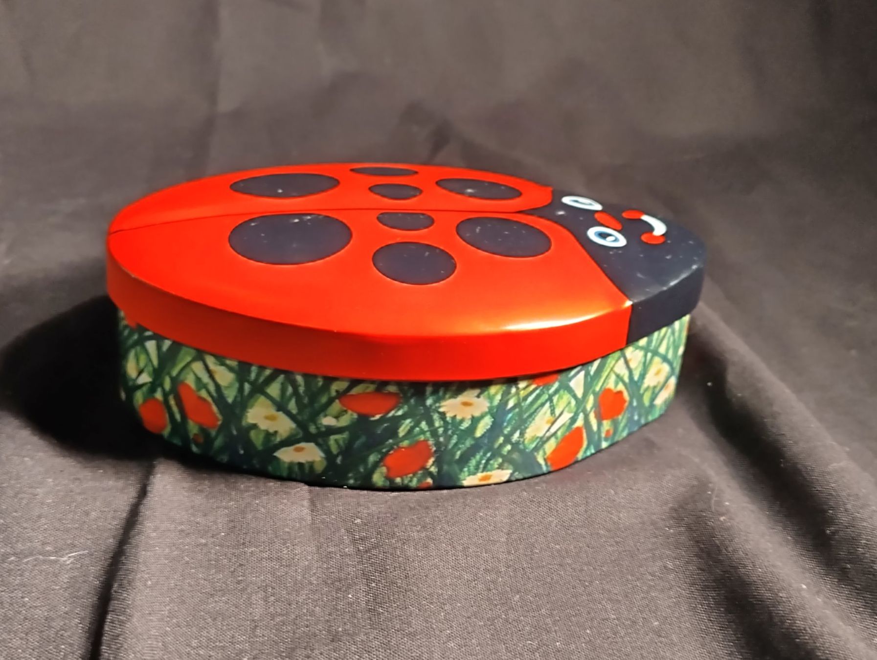 Altro in Decorazioni & Accessori: Blechbüchse Marienkäfer – Usato da Bellach venduto da JingleCherry 1