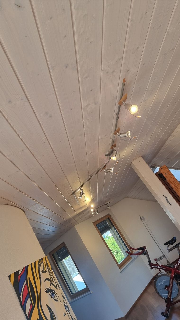 Lampadari & plafoniere: Deckenleuchten flexibel – Usato da Bottighofen venduto da buzz02 2