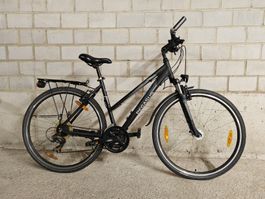 Fahrrad Pegasus 