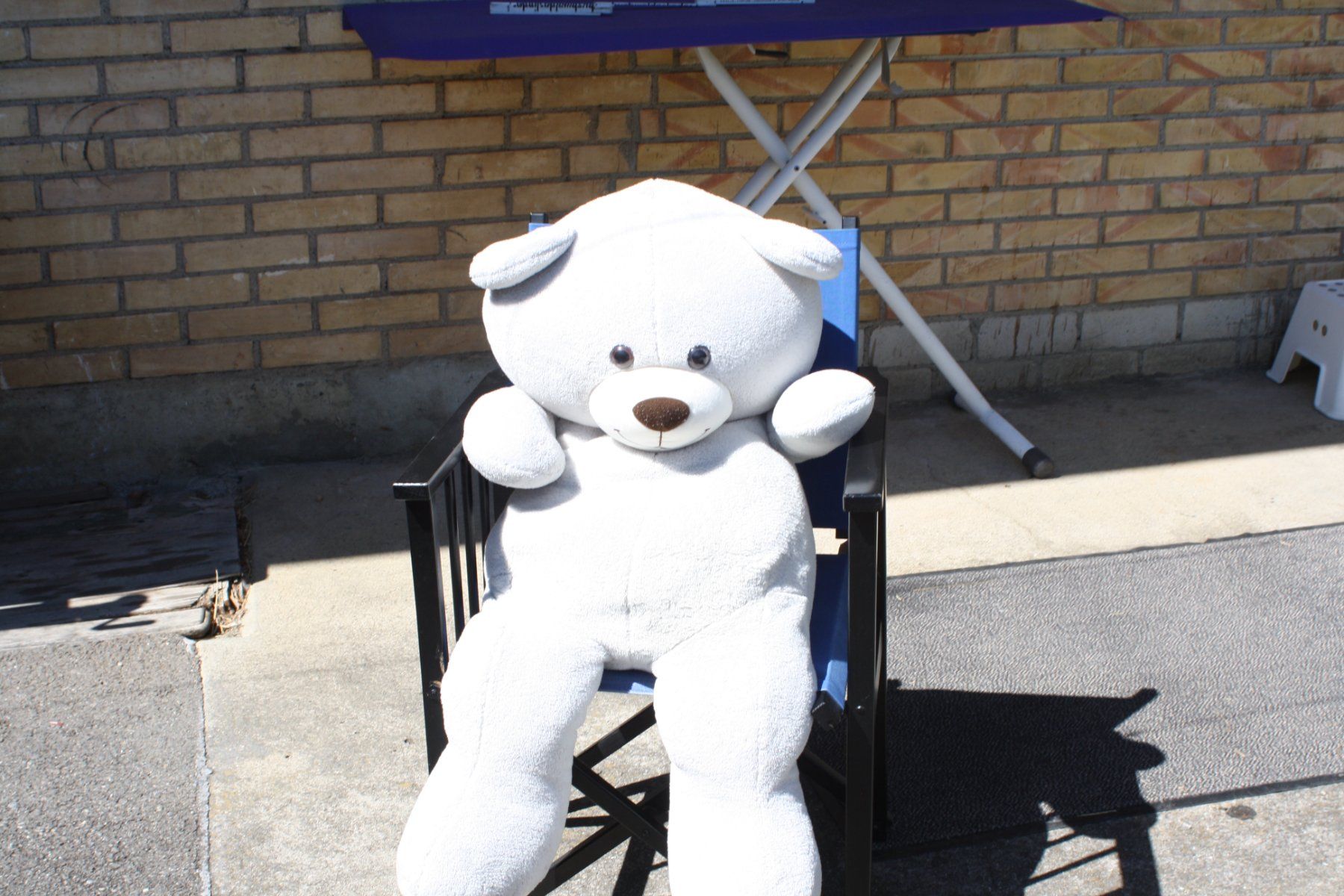 Jouets: GROSSER TEDDYBÄR PLÜSCHBÄR – D'occasion à Wauwil par Pneuedy 3