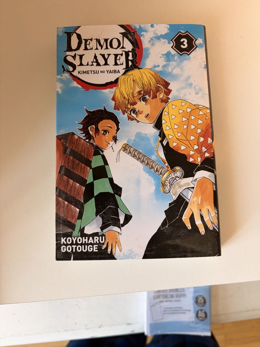 Comics: Manga Demon Slayer tomes 3 et 4. – Gebraucht aus Meyrin von bon_djk5 3
