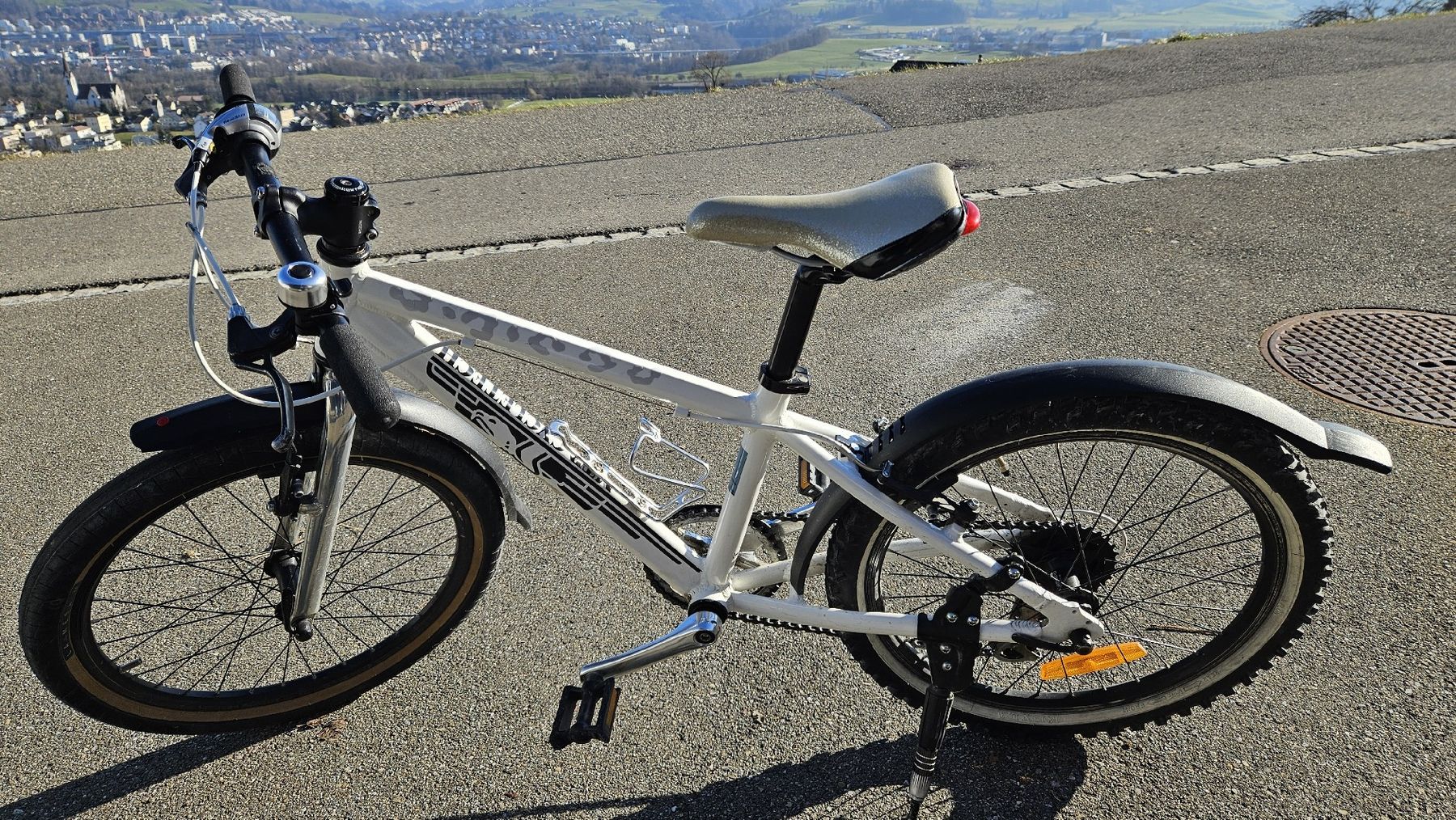 MTB Cycletech Biciclette: Kindervelo MTB Cycletech 20 Zoll – Usato da Abtwil SG venduto da Realsale