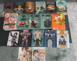Manga Bücher diverse Titel