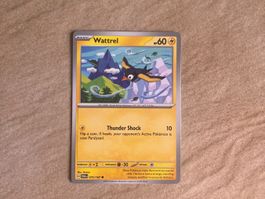 Carte Pokemon Wattrel - Twilight Mascarade TWMEN - EN