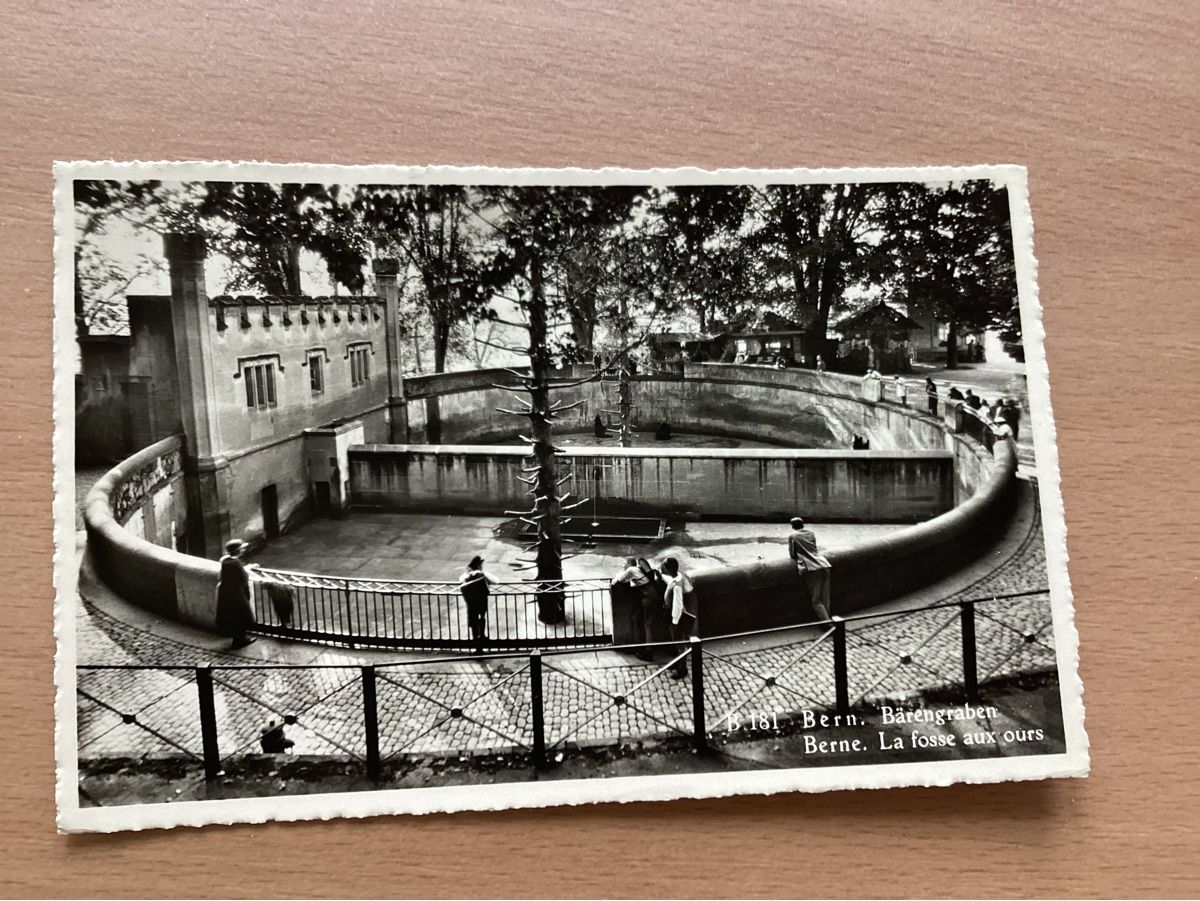Cartoline postali: AK Bern Bärengraben – Usato da Wassen UR venduto da SABDOM