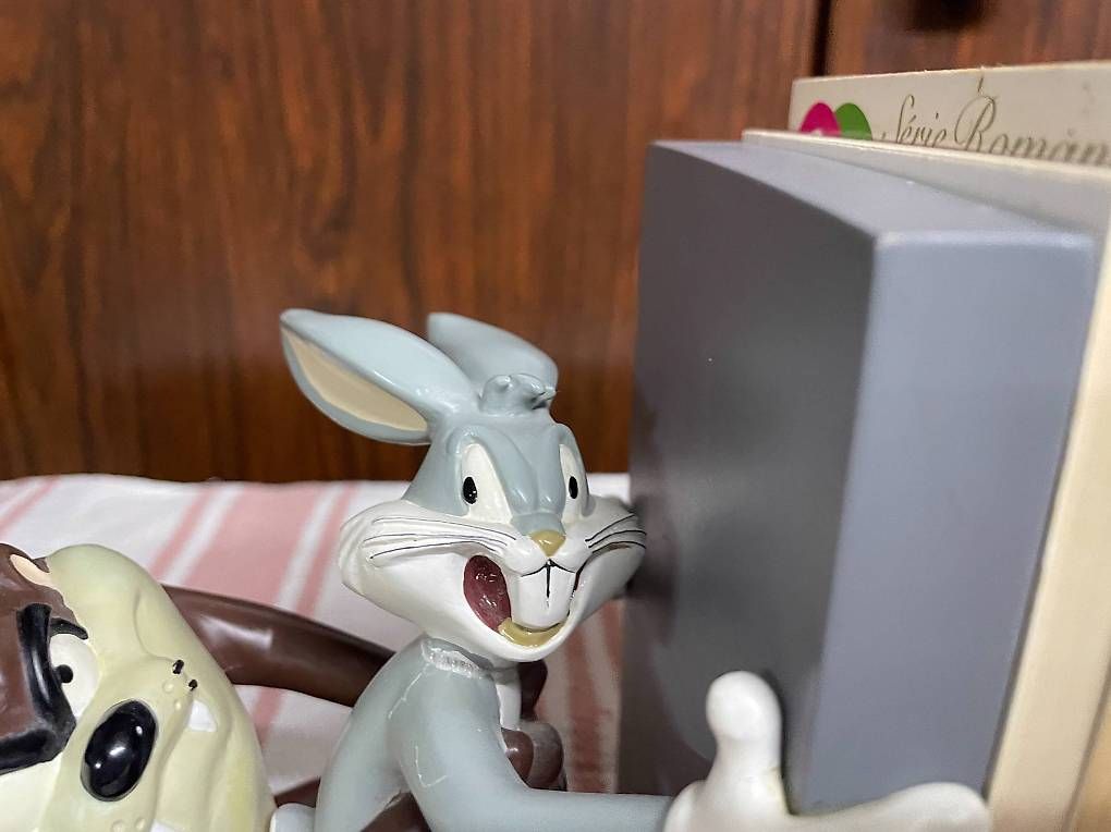 Altro in Decorazioni & Accessori: Serre-livre Looney Tunes – Usato da Lovens venduto da fam_5f2t 2