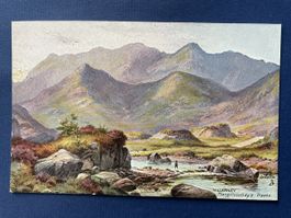 Alte Ansichtskarte Killarney Macgillicuddy's Reeks Irland
