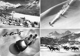 St, Moritz Bob Pferde Skifahren G