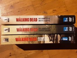 Walking Dead - Staffel 3, 5 und 6