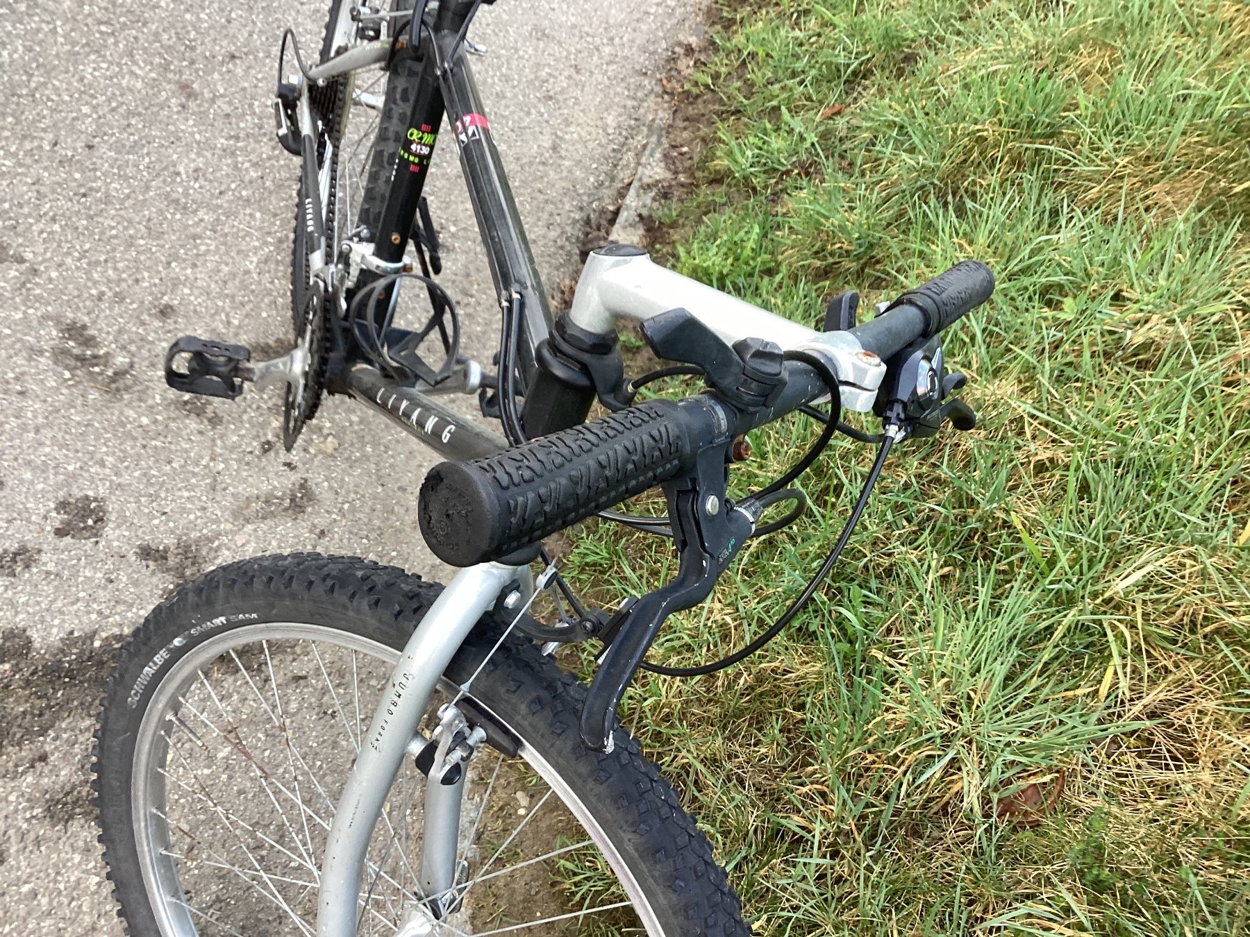 Vélos: Liyang Mountainbike – Défectueux à Kehrsatz par sodiesunddas 4