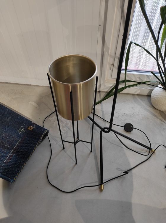 LeseStänderlampe mit BlumentopfStänder, schwarzmattgoldig Kaufen