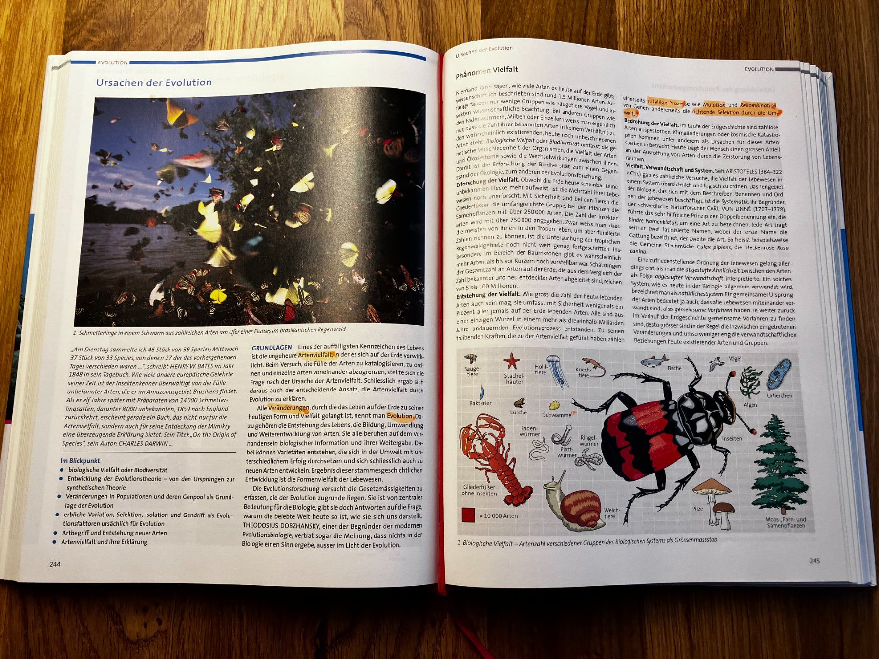 Libri: Biologie Sekundarstufe II – Usato da Inwil venduto da Mutzli02 2