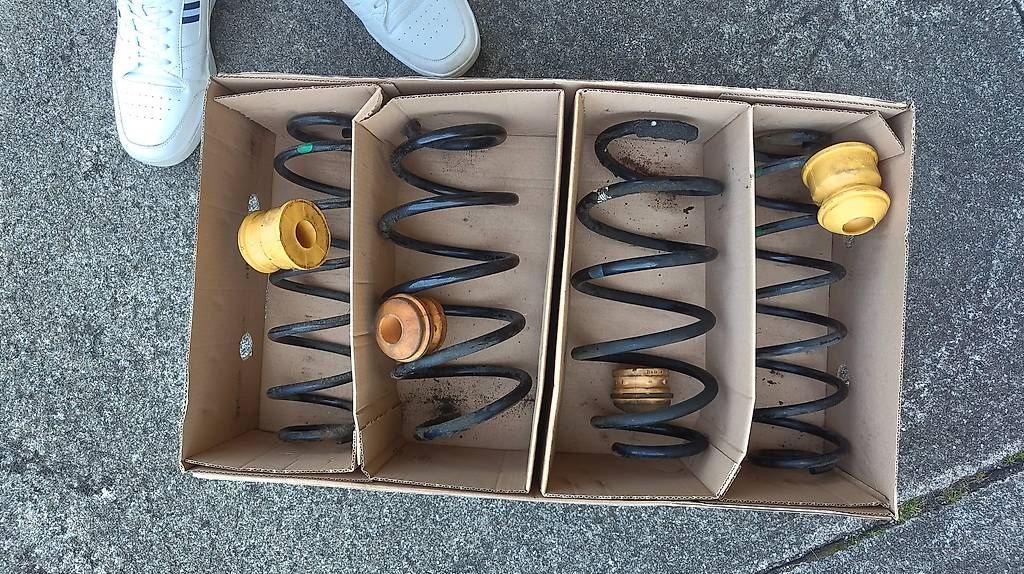 Welt der Tiere: Honda Civic (Generation 8) Federsatz – Gebraucht aus Roggliswil von peterg93