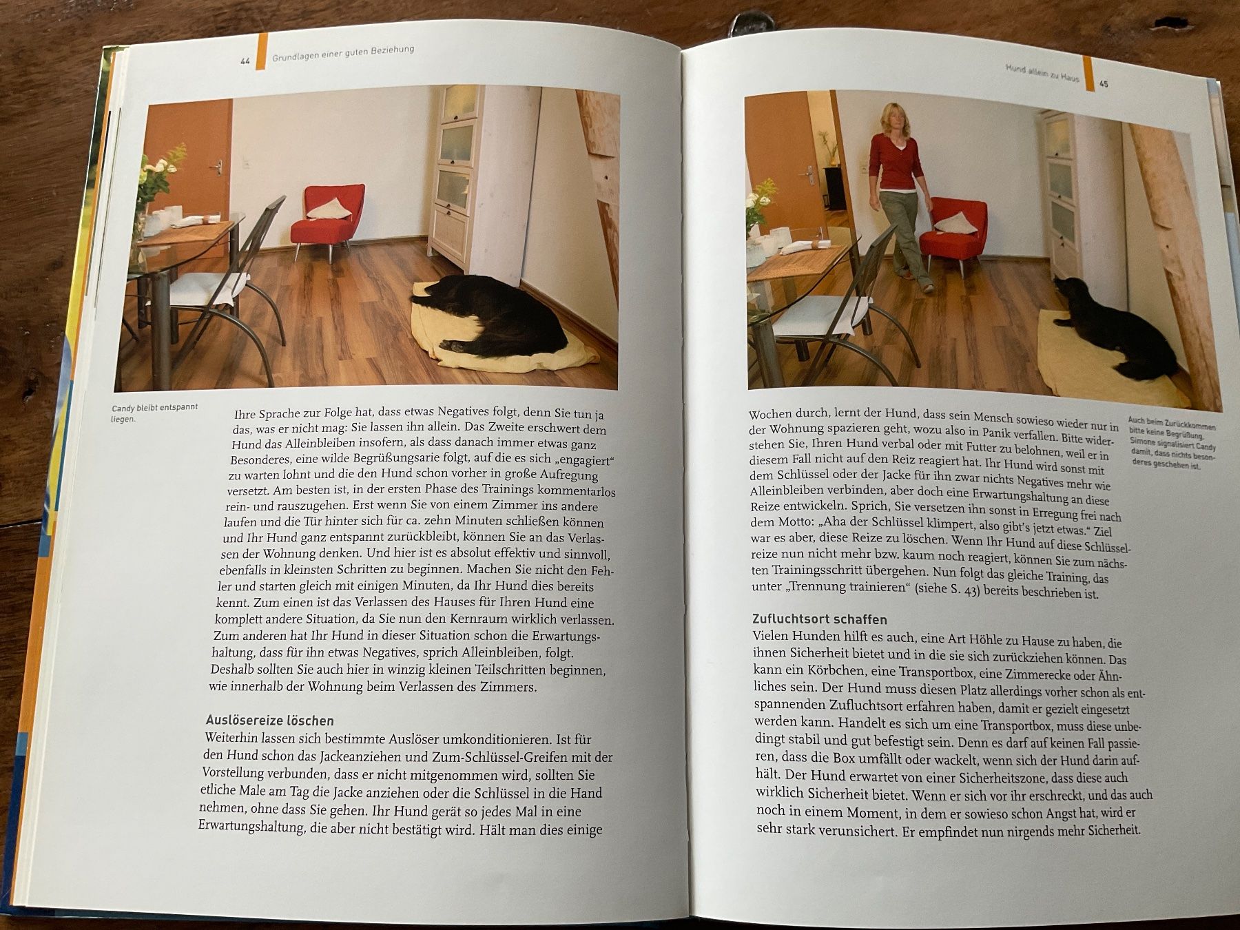 Libri: Hundetraining mit Martin Rütter, Partnerschaftl – Usato da Avenches venduto da Tinkey 1