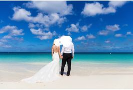 Hochzeitskleid Pronovias