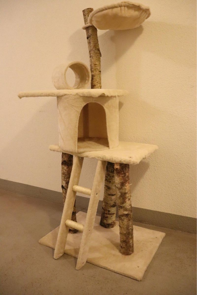Tiragraffi: UNIKAT-BIRKEN-KATZENBAUM – Nuovo e nell'imballaggio originale da Glarus venduto da PBachmann 4