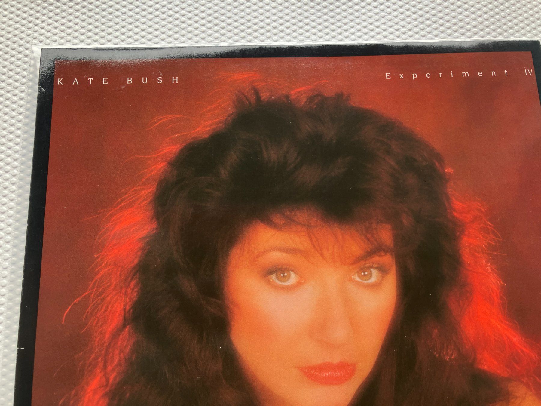 Dischi in vinile: Kate Bush – Usato da Aarwangen venduto da Jukebox3 1