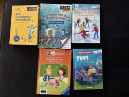Kinderbücher für Leseanfänger, neuwertig