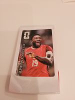 Alphonso Davies FIFA Sticker Coca Cola⚽ Kanada 🇨🇦 