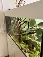 Aquarium ohne Innhalt mit Zubehör