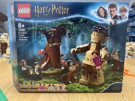 Lego Harry Potter 75967 Verbotener Wald Begegnung mit Umbrid