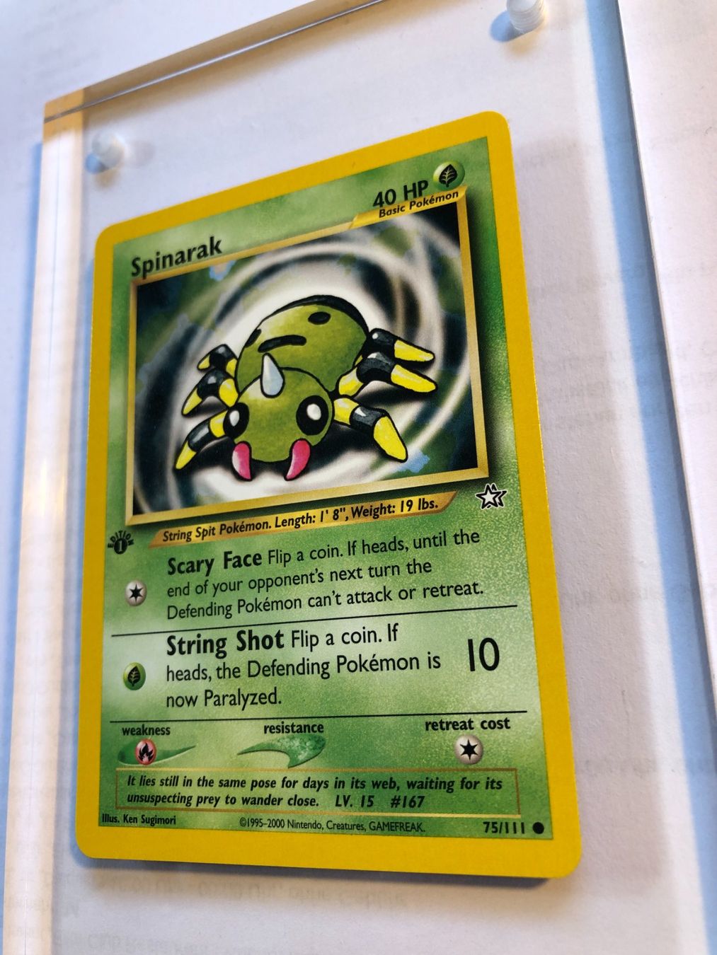 Carte collezionabili: Spinarak 1st Neo Genesis - MINT - ab 1.- – Usato da Giubiasco venduto da dan_pr8b 2