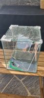 Dennerle Nano Cube Basic 30lt