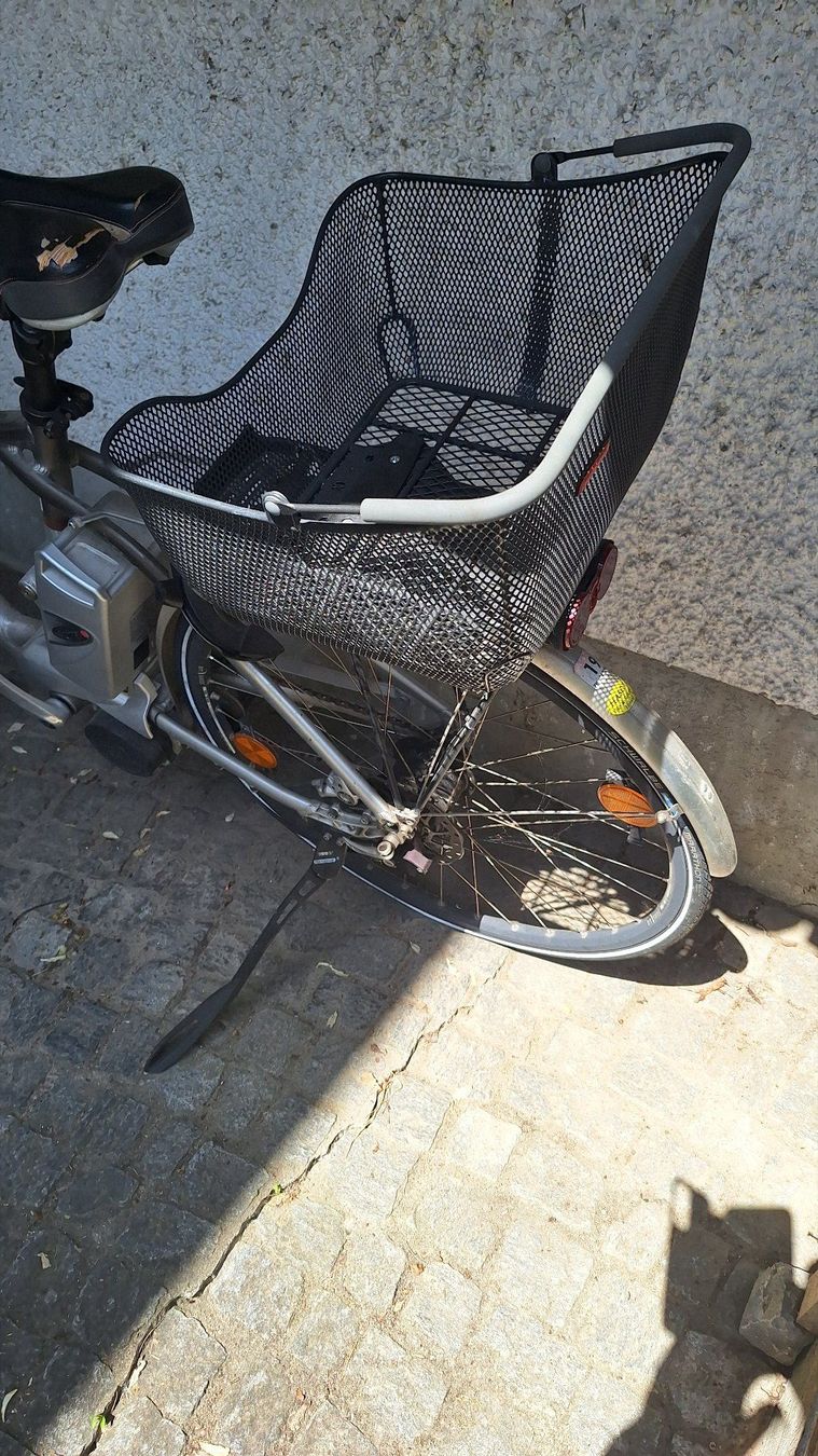 Flyer Biciclette: Flyer bis 45 km/h schnell – Usato da Hinwil venduto da dun_tt2z 2