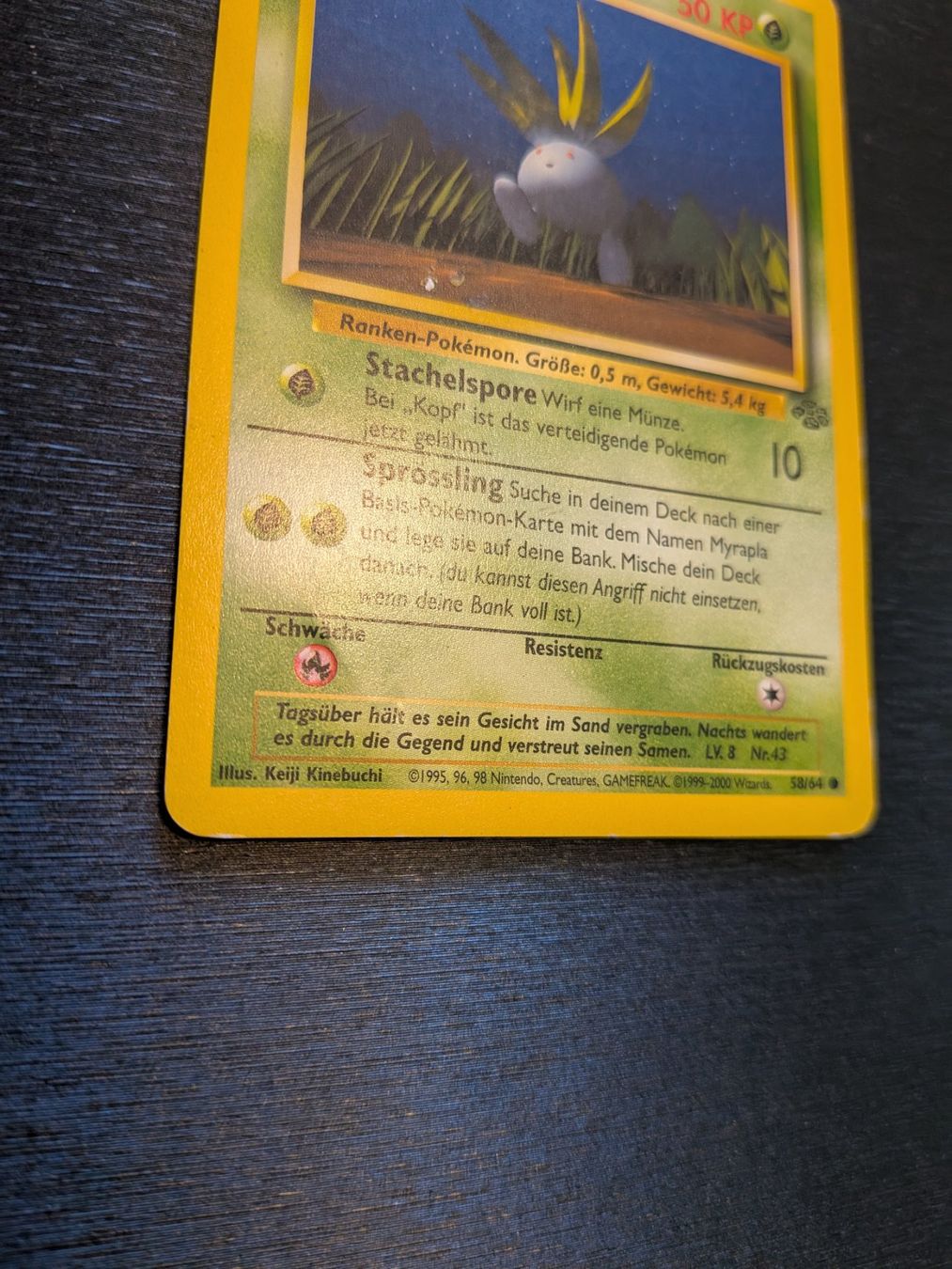 Pokémon Sammelbilder & Trading cards: Jungle Oddish / Myrapla 58/64 DE Ab 1 – Gebraucht aus Paradiso von Pkmn10 1