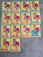 14 x Paninisticker 2026 / Equador