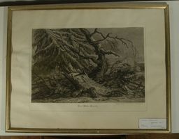 Stich Biber Familie Johann Elias Ridinger