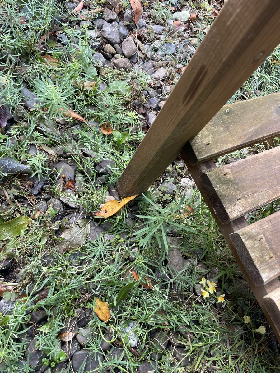 Vasi per fiori: 3 Hochbeete mit Rollen  – Usato da Bürglen UR venduto da Noemijulia7 8