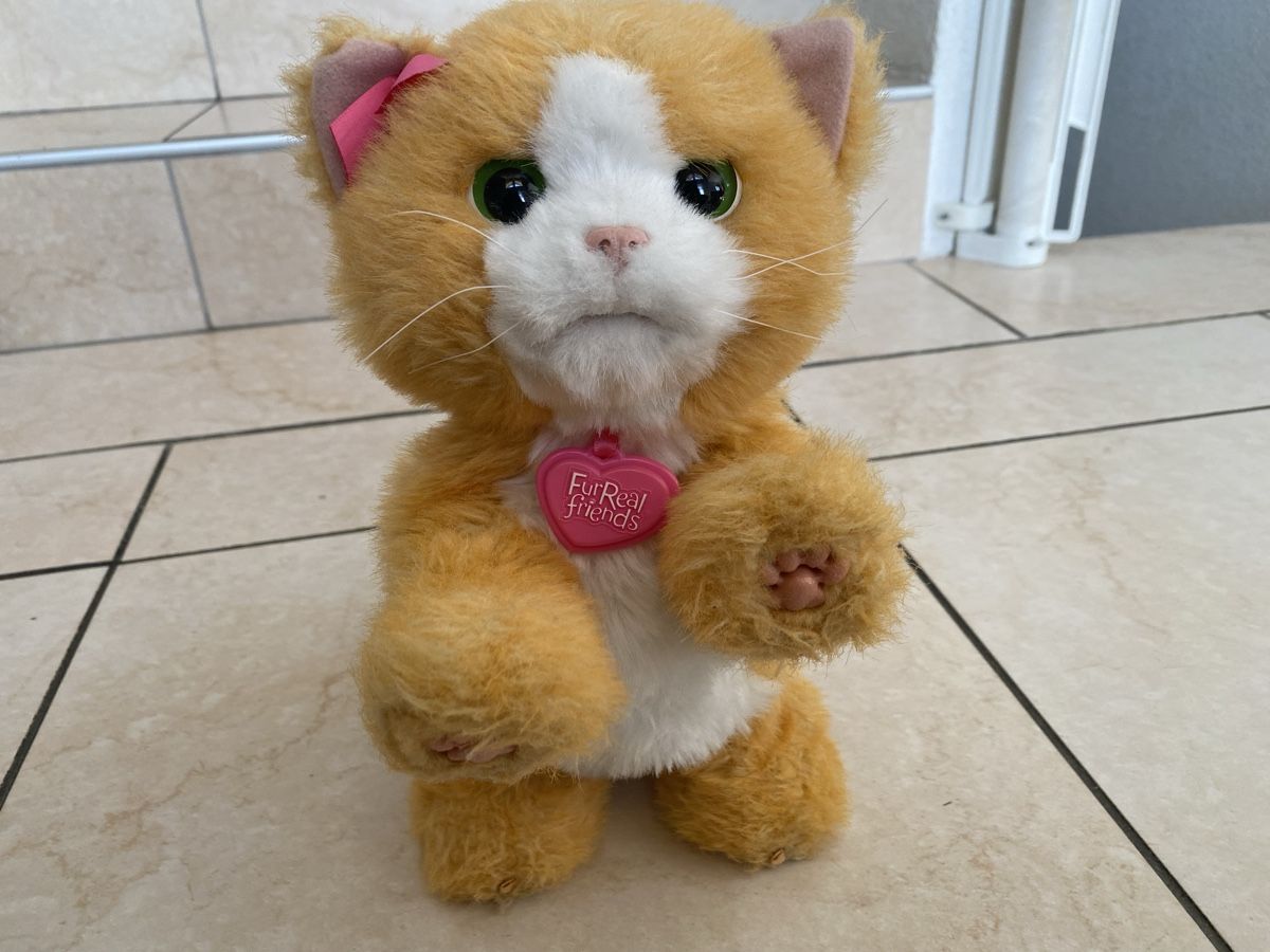 Hasbro Giocattoli: Jouet Chat Hasbro Friends – Usato da Aproz (Nendaz) venduto da ann_69m9 1