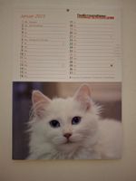 Kalender 2025 & 41 sehr schöne Postkarten mit Tiermotiven