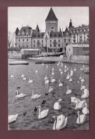 LAUSANNE - Ouchy - Château - Cygnes
