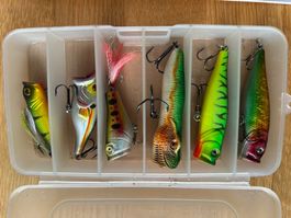 6 x Hecht + Gross Barsch Popper inkl. Box von DAM 🎣